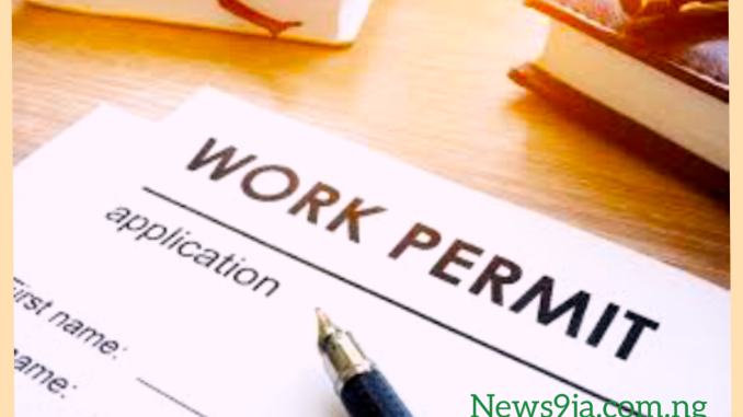 Check If You Need A Work Permit - Everything You Need To Know