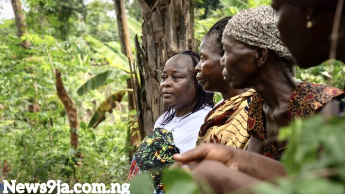 How To Get Help Support For Forest Sector Employers And Workers - Complete Guide