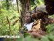 How To Get Help Support For Forest Sector Employers And Workers - Complete Guide
